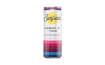 Surfside Raspberry Tea + Vodka - 24 Pack