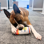 Surfside Plush Chew Toy