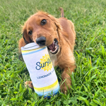 Surfside Plush Chew Toy