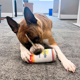 Dog playing with a colorful branded Surfside Ice Tea and Vodka plush can chew toy on a carpeted floor