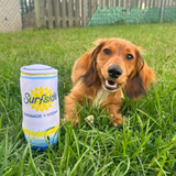 Dog sitting in the grass next to a plush can chew toy of Surfside Lemonade  and Vodka